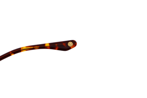 LT12 ALMA col.Tortoise